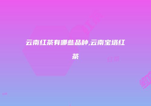 云南红茶有哪些品种,云南宝塔红茶