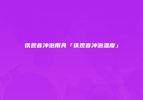 铁观音冲泡用具「铁观音冲泡温度」