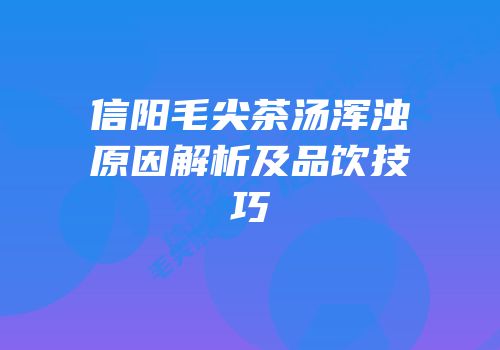信阳毛尖茶汤浑浊原因解析及品饮技巧
