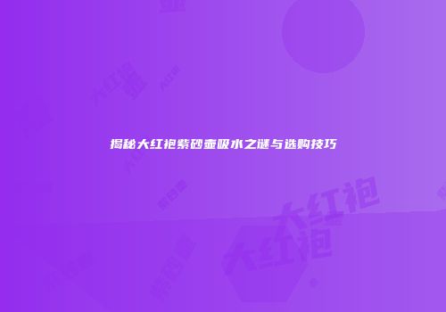 揭秘大红袍紫砂壶吸水之谜与选购技巧