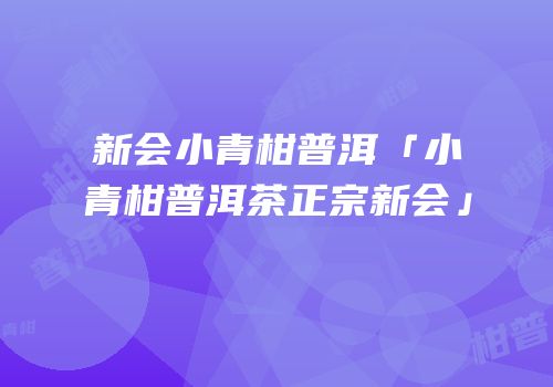 新会小青柑普洱「小青柑普洱茶正宗新会」