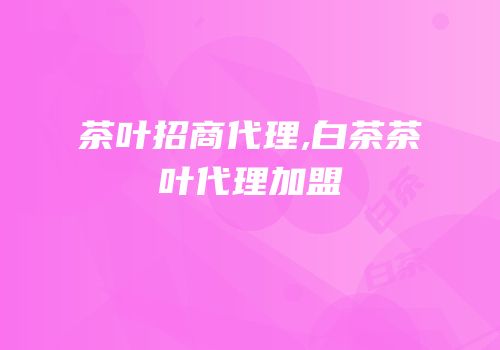 茶叶招商代理,白茶茶叶代理加盟
