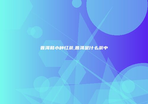 普洱和小种红茶,普洱是什么茶中