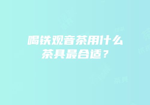 喝铁观音茶用什么茶具最合适？
