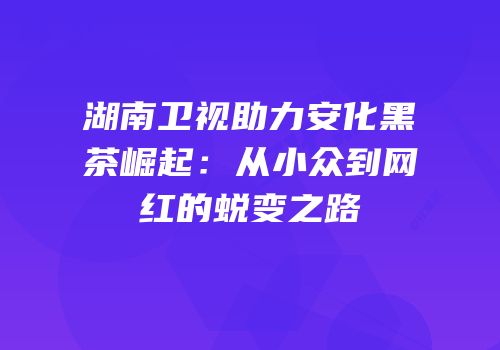 湖南卫视助力安化黑茶崛起：从小众到网红的蜕变之路