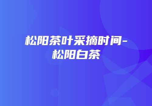 松阳茶叶采摘时间-松阳白茶