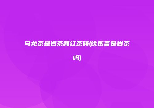乌龙茶是岩茶和红茶吗(铁观音是岩茶吗)