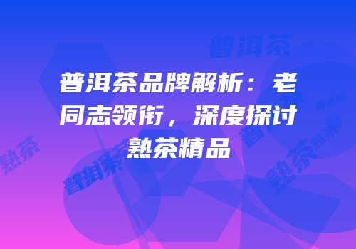普洱茶品牌解析：老同志领衔，深度探讨熟茶精品