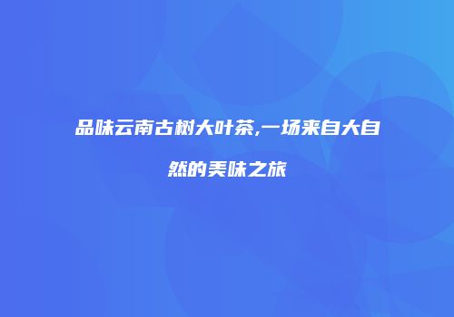 品味云南古树大叶茶,一场来自大自然的美味之旅