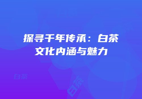 探寻千年传承：白茶文化内涵与魅力