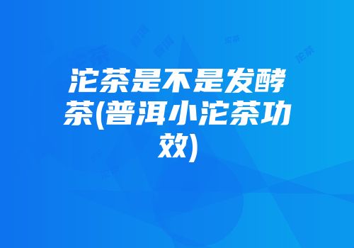 沱茶是不是发酵茶(普洱小沱茶功效)