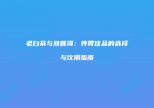 老白茶与熟普洱：养胃佳品的选择与饮用指南