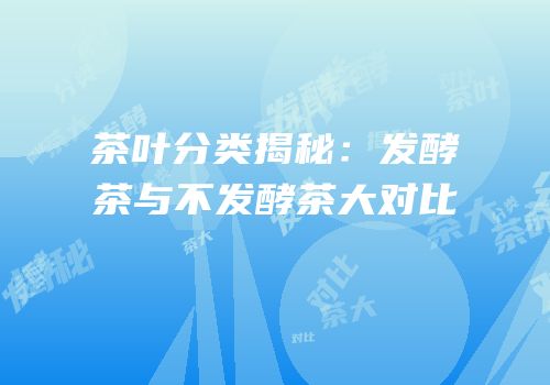 茶叶分类揭秘：发酵茶与不发酵茶大对比