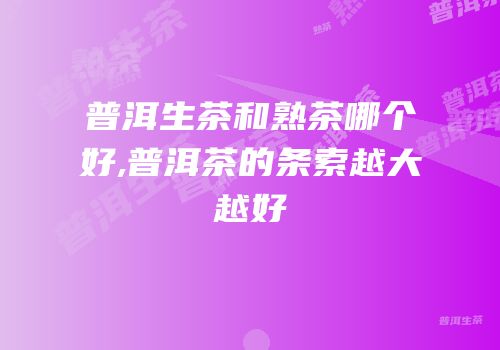 普洱生茶和熟茶哪个好,普洱茶的条索越大越好