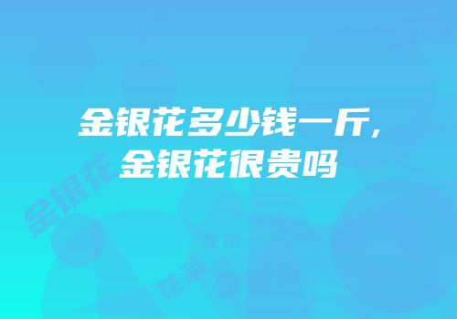 金银花多少钱一斤,金银花很贵吗