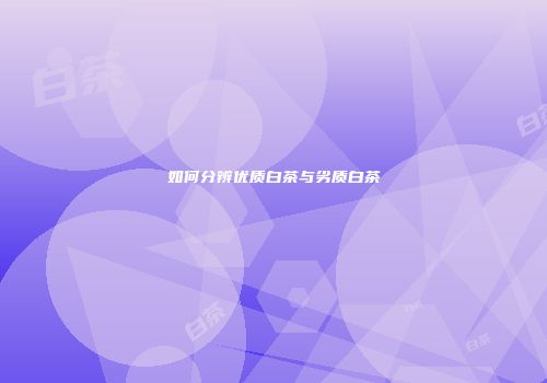 如何分辨优质白茶与劣质白茶
