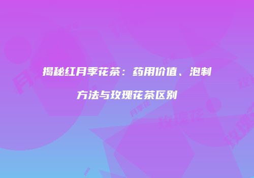 揭秘红月季花茶：药用价值、泡制方法与玫瑰花茶区别