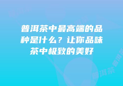 普洱茶中最高端的品种是什么？让你品味茶中极致的美好