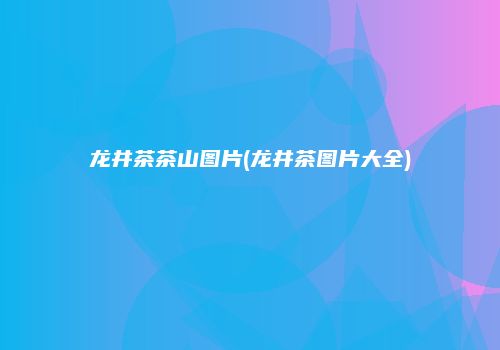 龙井茶茶山图片(龙井茶图片大全)