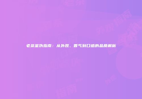 老茶鉴伪指南：从外观、香气到口感的品质解析