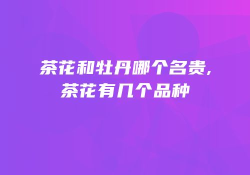 茶花和牡丹哪个名贵,茶花有几个品种
