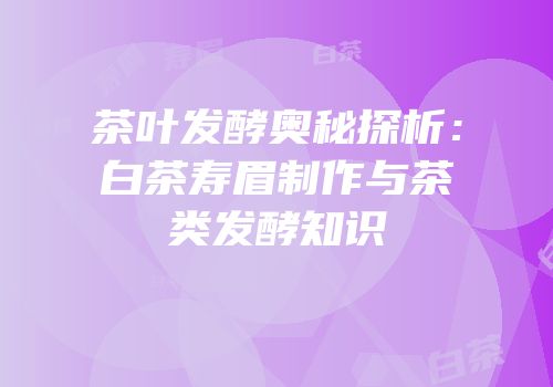 茶叶发酵奥秘探析：白茶寿眉制作与茶类发酵知识