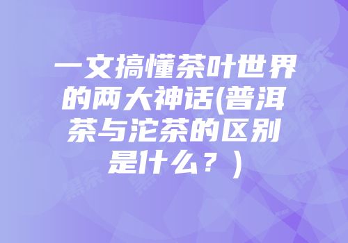 一文搞懂茶叶世界的两大神话(普洱茶与沱茶的区别是什么？)