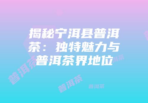 揭秘宁洱县普洱茶：独特魅力与普洱茶界地位