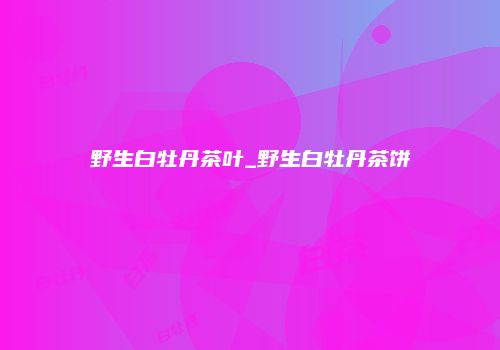 野生白牡丹茶叶_野生白牡丹茶饼