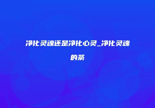 净化灵魂还是净化心灵_净化灵魂的茶