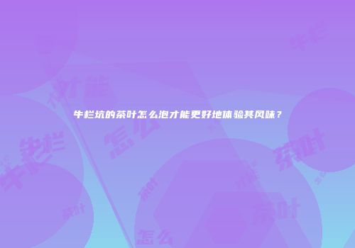 牛栏坑的茶叶怎么泡才能更好地体验其风味？