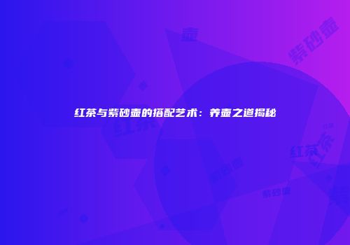 红茶与紫砂壶的搭配艺术：养壶之道揭秘