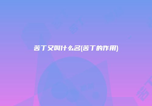 苦丁又叫什么名(苦丁的作用)