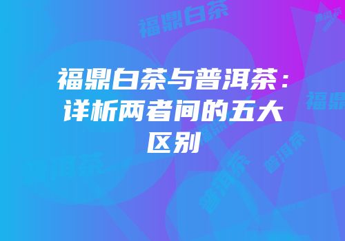 福鼎白茶与普洱茶：详析两者间的五大区别