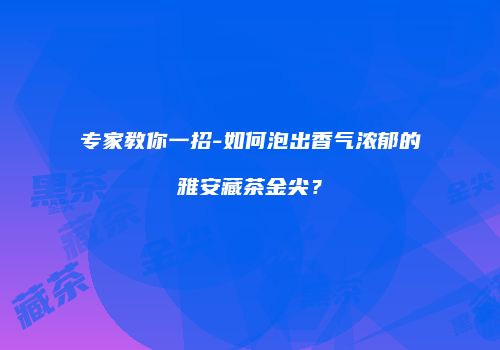 专家教你一招-如何泡出香气浓郁的雅安藏茶金尖？