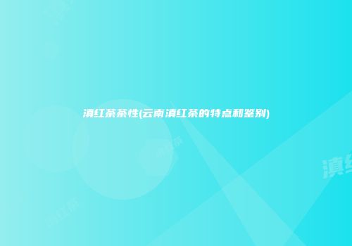 滇红茶茶性(云南滇红茶的特点和鉴别)