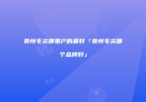 贵州毛尖哪里产的最好「贵州毛尖哪个品牌好」