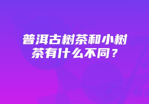 普洱古树茶和小树茶有什么不同？
