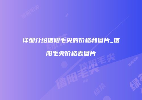 详细介绍信阳毛尖的价格和图片_信阳毛尖价格表图片
