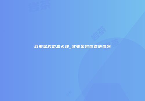 武夷星岩茶怎么样_武夷星岩茶要洗茶吗