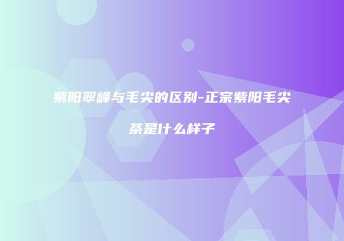 紫阳翠峰与毛尖的区别-正宗紫阳毛尖茶是什么样子