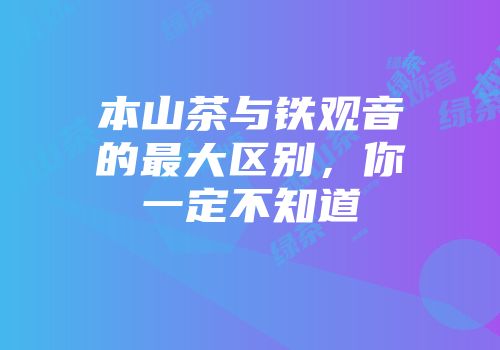 本山茶与铁观音的最大区别，你一定不知道
