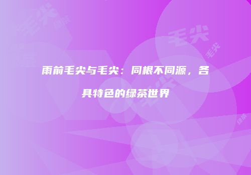 雨前毛尖与毛尖：同根不同源，各具特色的绿茶世界