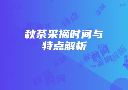 秋茶采摘时间与特点解析