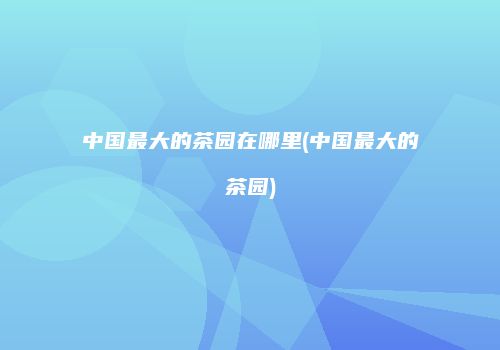 中国最大的茶园在哪里(中国最大的茶园)