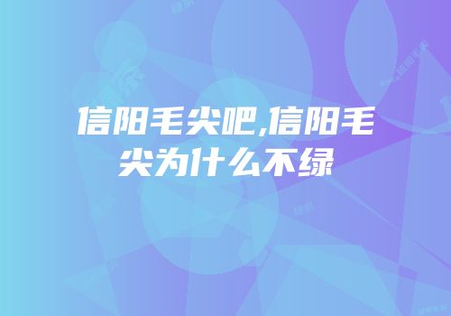 信阳毛尖吧,信阳毛尖为什么不绿