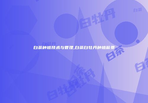 白茶种植技术与管理,白茶白牡丹种植前景