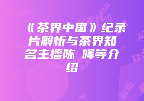 《茶界中国》纪录片解析与茶界知名主播陈竑晖等介绍