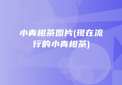 小青柑茶图片(现在流行的小青柑茶)
