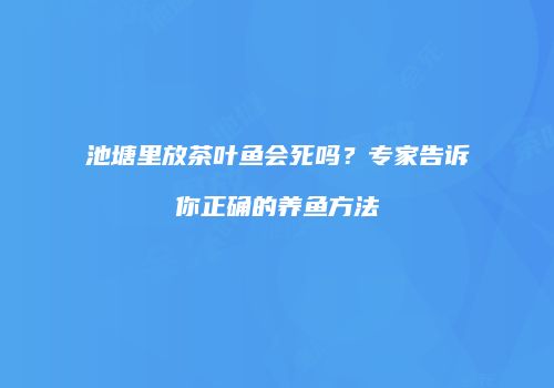 池塘里放茶叶鱼会死吗？专家告诉你正确的养鱼方法